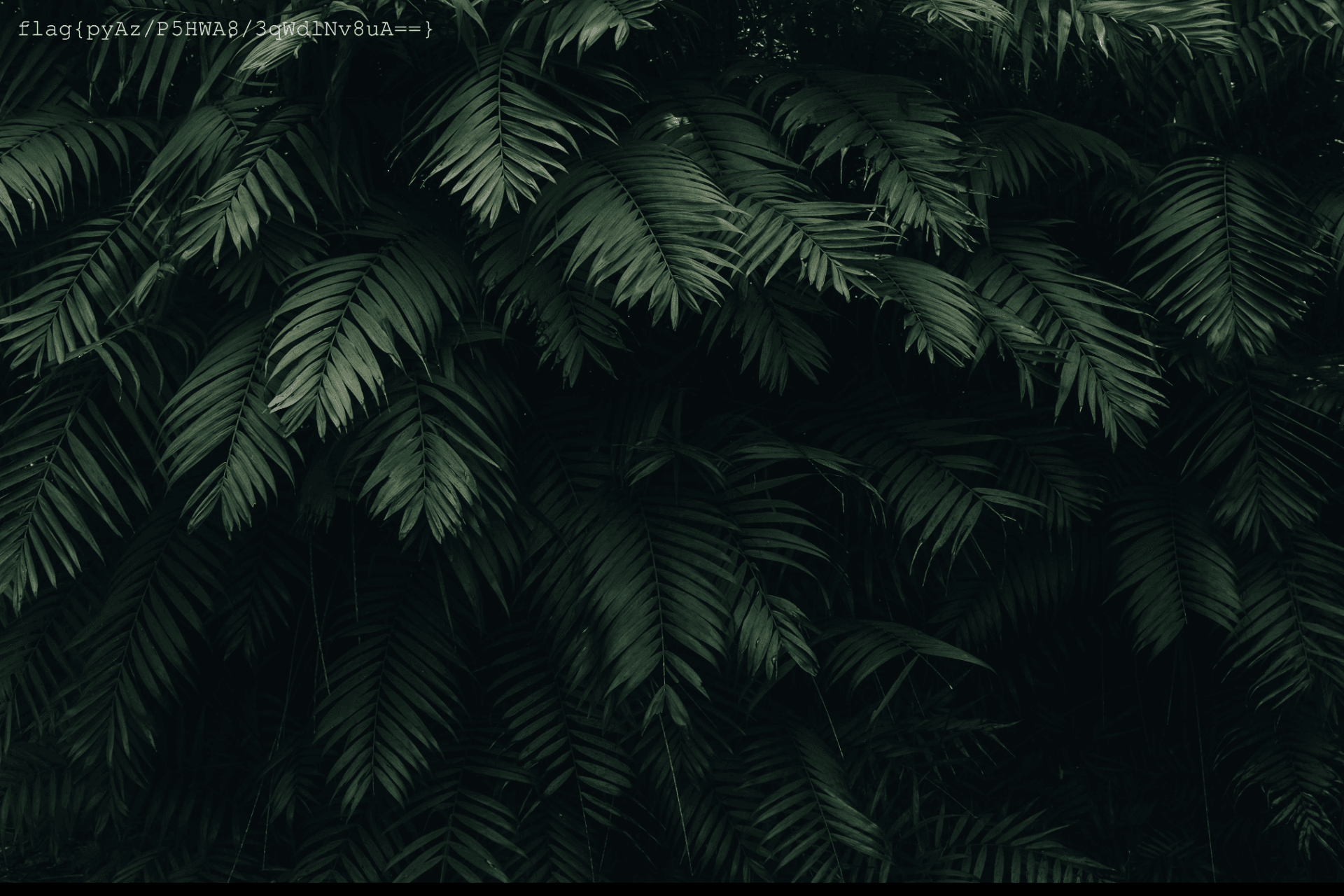 339ce48e2ab42cd3ab0f1f67c709b5fa.png